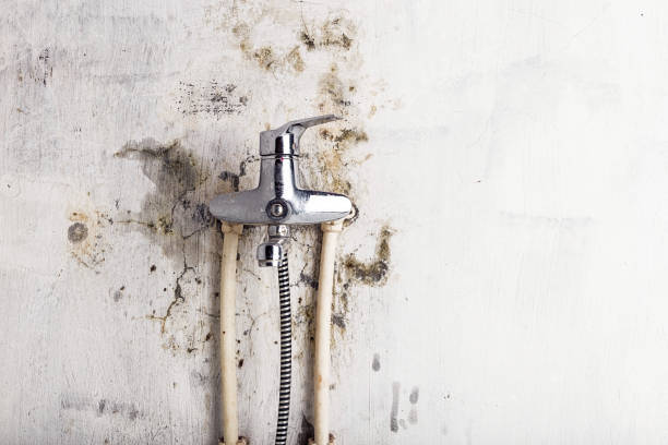 Home Mold Removal in Sweet Home, OR