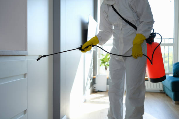 Best Commercial Mold Removal  in Sweet Home, OR