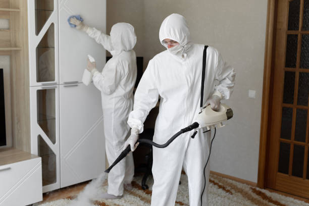 Professional Mold Removal in Sweet Home, OR