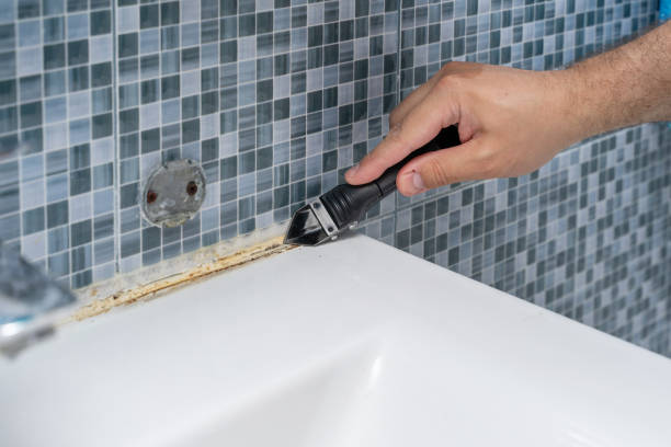Best Mold Damage Repair  in Sweet Home, OR