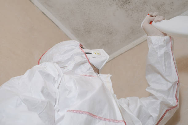 Best Mold Removal Process  in Sweet Home, OR