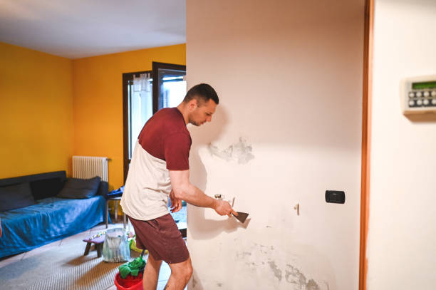Best Water Damage Restoration  in Sweet Home, OR