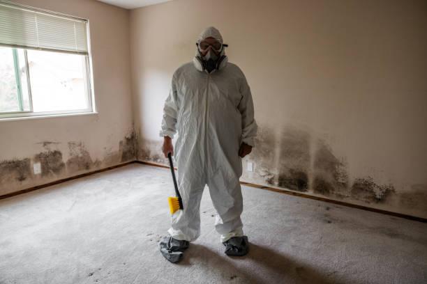 Best Toxic Mold Removal  in Sweet Home, OR